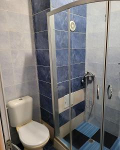 a bathroom with a toilet and a shower at Provans famili hotel in Lyetnitsa