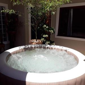 una gran bañera de hidromasaje en una habitación con una planta en NAVEGA HOUSE en Navegantes