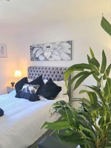 ein Schlafzimmer mit einem Bett mit Kissen und einer Pflanze in der Unterkunft Green Apartments in Invergowrie