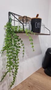 Fotografie z fotogalerie ubytování Le P'tit Indus , Duplex v destinaci Lanester