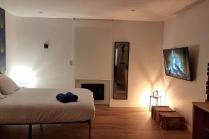 TV a/nebo společenská místnost v ubytování Le P'tit Indus , Duplex