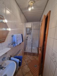 uma casa de banho com um lavatório e um chuveiro em Ferienhäusle Sommerach em Sommerach