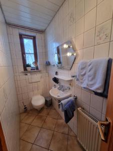 ein Badezimmer mit einem Waschbecken, einem WC und einem Spiegel in der Unterkunft Ferienhäusle Sommerach in Sommerach