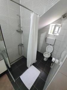 索科礦泉村的住宿－STUDIO VIK，带淋浴和卫生间的浴室