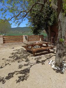two wooden benches sitting next to a tree at Cal Genís de Montmajor - WIFI in Montmajor