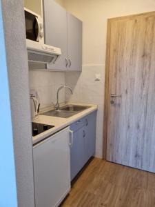 Kuchyň nebo kuchyňský kout v ubytování Guesthouse Dominović