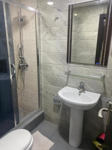 een badkamer met een wastafel, een douche en een toilet bij Studio B, (Studio Apartment) Hillside Gardens in Lagos