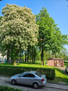 un coche plateado estacionado frente a un árbol florido en Loft, en Sosnowiec