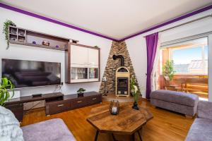 TV a/nebo společenská místnost v ubytování Apartment Nekić Posedarje