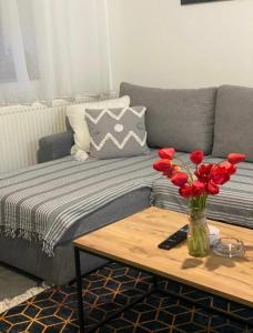 - un salon avec un canapé et une table ornée de fleurs rouges dans l'établissement Bellas apartmani, à Novi Sad