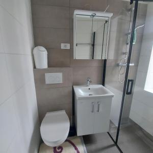 een badkamer met een toilet, een wastafel en een douche bij Casa Julija in Rovinj