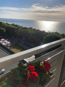 een balkon met rode bloemen en uitzicht op de oceaan bij MM Luxus Meerblick Appartment 3 Personen in Międzyzdroje