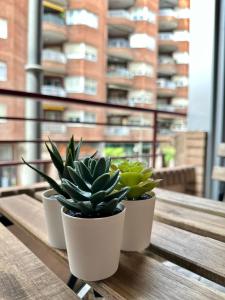 trois plantes en pot assises sur une table en bois dans l'établissement Apartamento a 10 minutos de la Calle Laurel, à Logroño