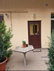 a table with a potted plant on it in front of a door at Apartament Central Traian Moșoiu , Parcare proprie in Cluj-Napoca