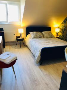a bedroom with a large bed and two lamps at Au pied du circuit des 24h, chez Céline in Le Mans