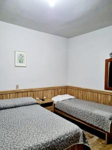 1 dormitorio con 2 camas y una foto en la pared en Bartholo Plaza Hotel Santa Catarina, en Penha