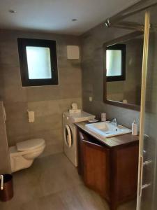 a bathroom with a toilet and a sink and a mirror at CAP CORSE - SISCO - MAISON DE CHARME 6 PERSONNES in Sisco