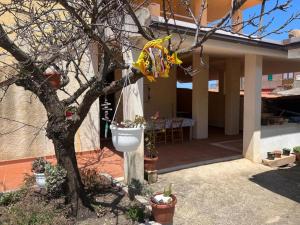 una casa con un albero decorato di Porto Alabe casa levante a Porto Alabe