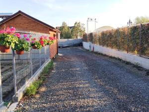 Gallery image of Cabanele Deltei in Dunavăţu de Jos +21 photos