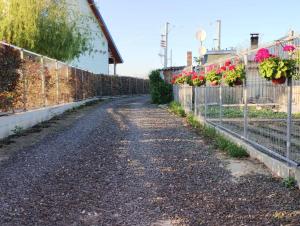 Gallery image of Cabanele Deltei in Dunavăţu de Jos