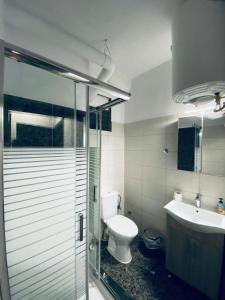 ein Bad mit einem WC und einem Waschbecken in der Unterkunft Central House with AmazingView in Kavala