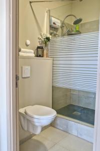 a bathroom with a toilet and a shower at City Views Spacious Mezzanine Apartments in Willemstad