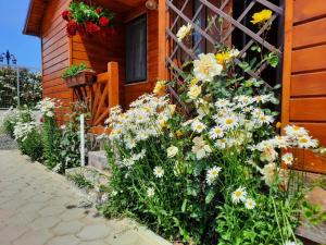 Gallery image of Cabanele Deltei in Dunavăţu de Jos