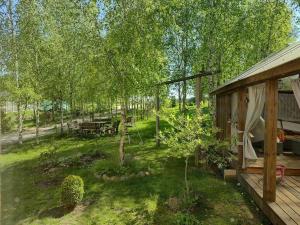 a yard with a picnic table and a house at Siedlisko Magiczne Cimanie in Cimanie