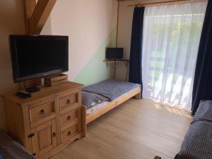 TV a/nebo společenská místnost v ubytování Penzion a Restaurace Vyhlídka