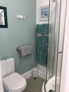 uma casa de banho com um WC e um chuveiro em Lilac Villa Guest House em Weymouth