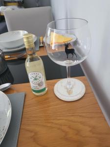 a wine glass with a cat and a lemon in it at Beautiful studio chalet in the Highland in Inverness