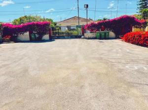 Ảnh trong thư viện ảnh của Kenepa Resort ở Willemstad