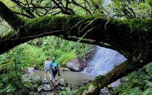 two people walking through a stream with a waterfall at Rockwood Karkloof Forest Lodge & Mountain Cabin in Yarrow