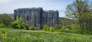 ツァグカゾールにあるKechi Apart Hotelの鳥が立ち並ぶ高い建物