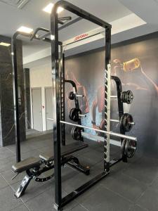 a gym with a squat rack and weights at Hotel complex Jitomir in Montana