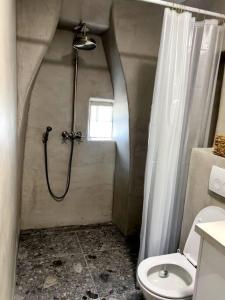 a bathroom with a shower and a toilet at Sailor's apartment in Supetar