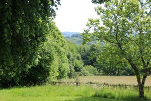 Příroda nedaleko prázdninového domu