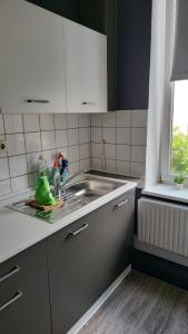 - une cuisine avec un évier et une grenouille verte sur le comptoir dans l'établissement Stadtnah an der Förde 75 1, à Flensbourg
