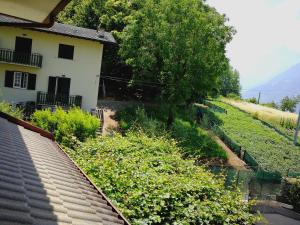 une maison sur le côté d'une colline avec des arbres et des buissons dans l'établissement Belandin Ristorante Hotel, à Teglio