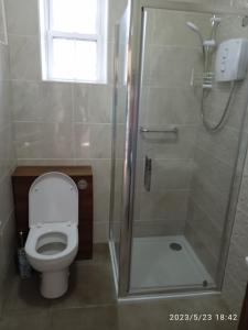 a bathroom with a toilet and a glass shower at Nire Valley Cottage 