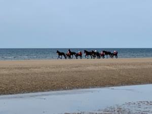 a group of people riding horses on the beach at Bener'Inn Au calme Une maison 3 chambres 125 m2 ou Une maison 2 chambres 50 m2 ou les 2 maisons in Bénerville-sur-Mer