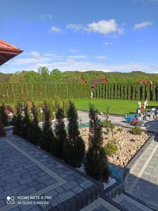 a row of trees in a landscaping yard at Green Hygge Apartamenty in Lubkowo