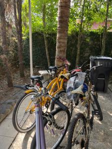 three bikes parked next to each other on a sidewalk at The Happy Place #1 in New Orleans