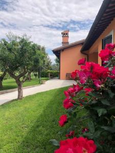 ein Busch voller roter Rosen vor einem Haus in der Unterkunft Il giardino delle rose in Spello