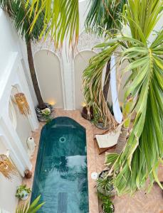 an indoor swimming pool with palm trees and plants at Nguyễn Villa Royale in La Gi