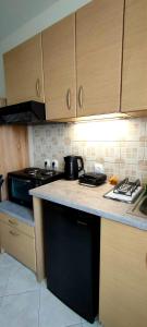 a kitchen with wooden cabinets and a counter top at Alex Downtown Studio in Argostoli