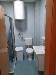 een badkamer met een toilet en een wastafel bij ZOJA Apartments in Kavadarci