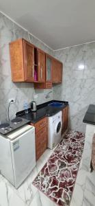 uma cozinha com um lavatório e uma máquina de lavar e secar roupa em ستوديو على البحر محطة الرمل Raml station stodeo em Alexandria