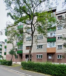 an apartment building with a tree in front of it at Rose City Apartment in Oradea