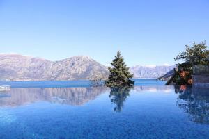 un lac avec un arbre au milieu dans l'établissement Bellezza Resort & SPA, à Kotor